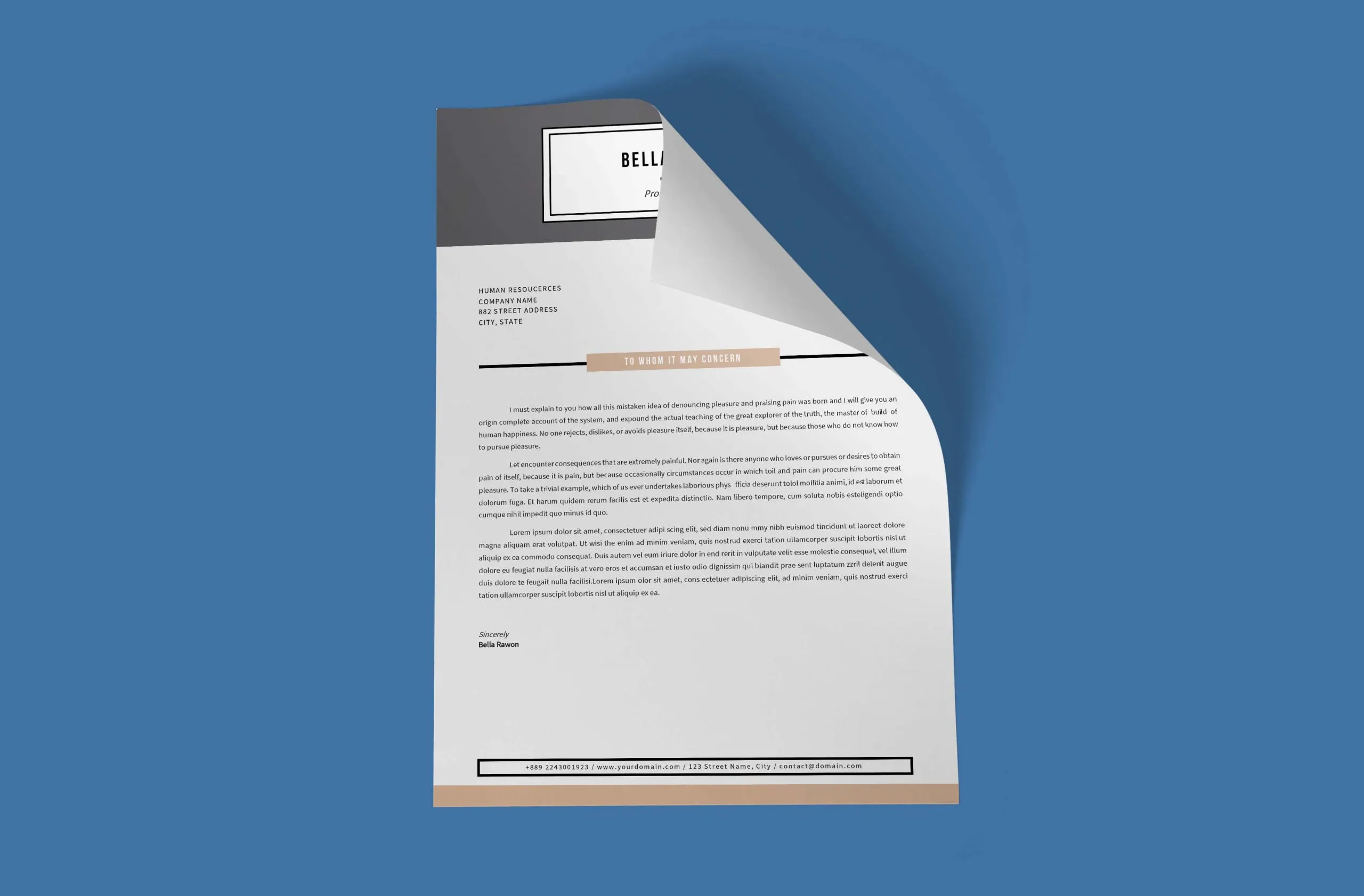 42060 customizable cover letter