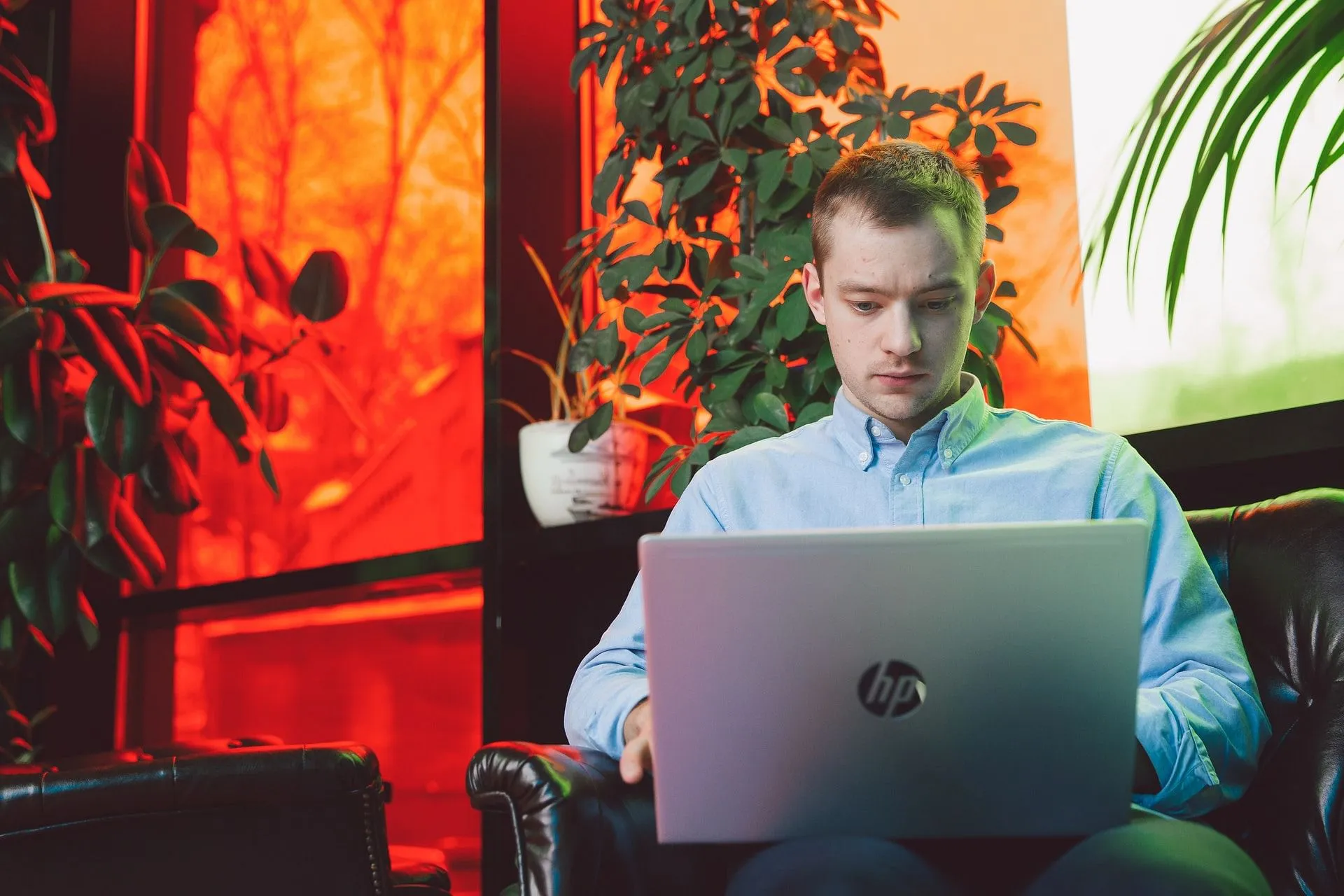 42086 formatting cover letter